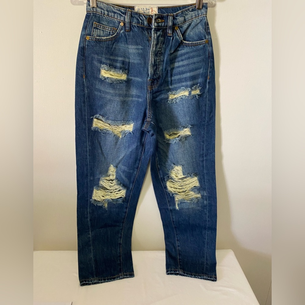 NWT Free People Sandrine Rose High Rise Distressed Jeans Size 25